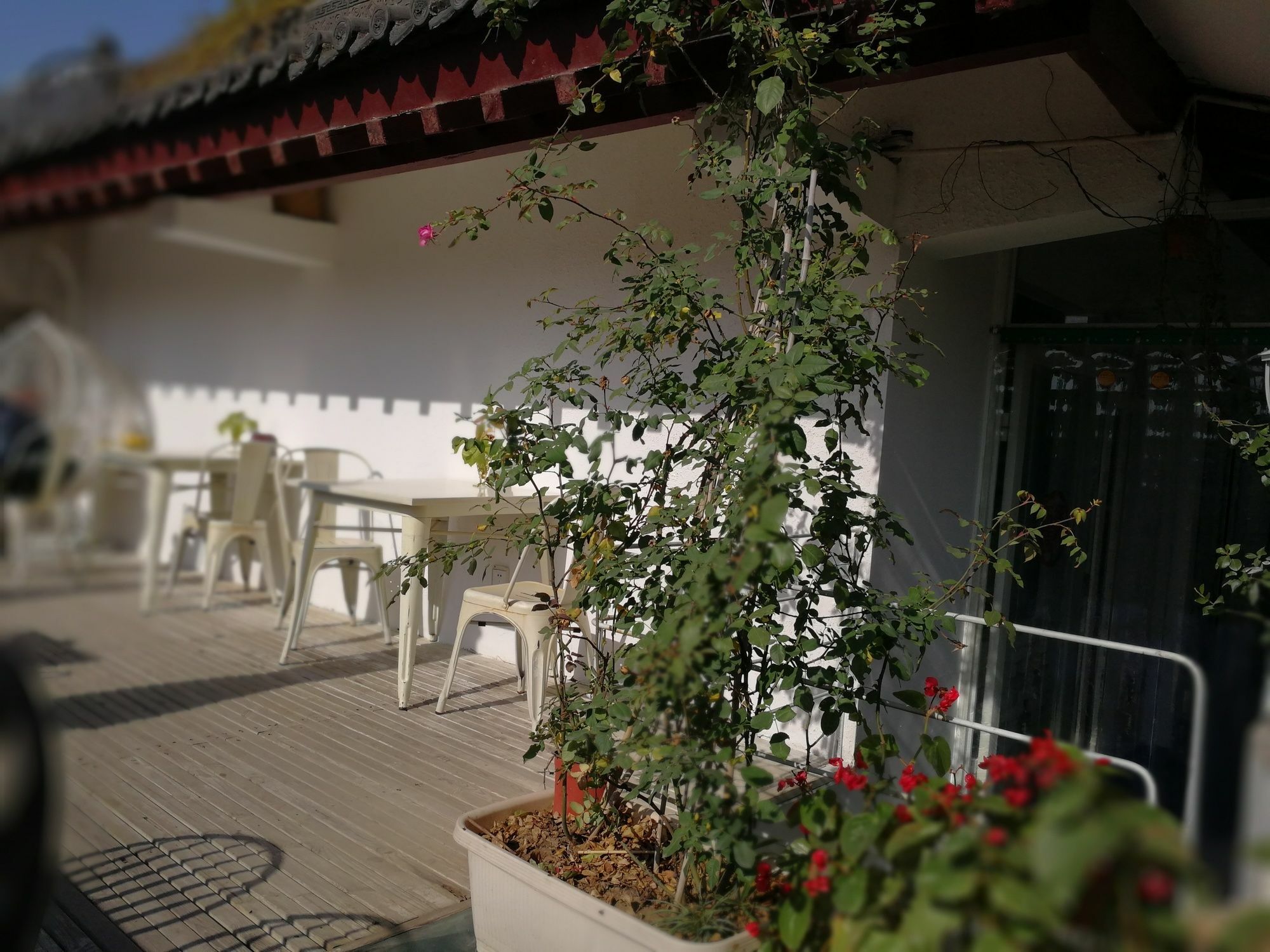 Xi'An See Tang Guesthouse Εξωτερικό φωτογραφία